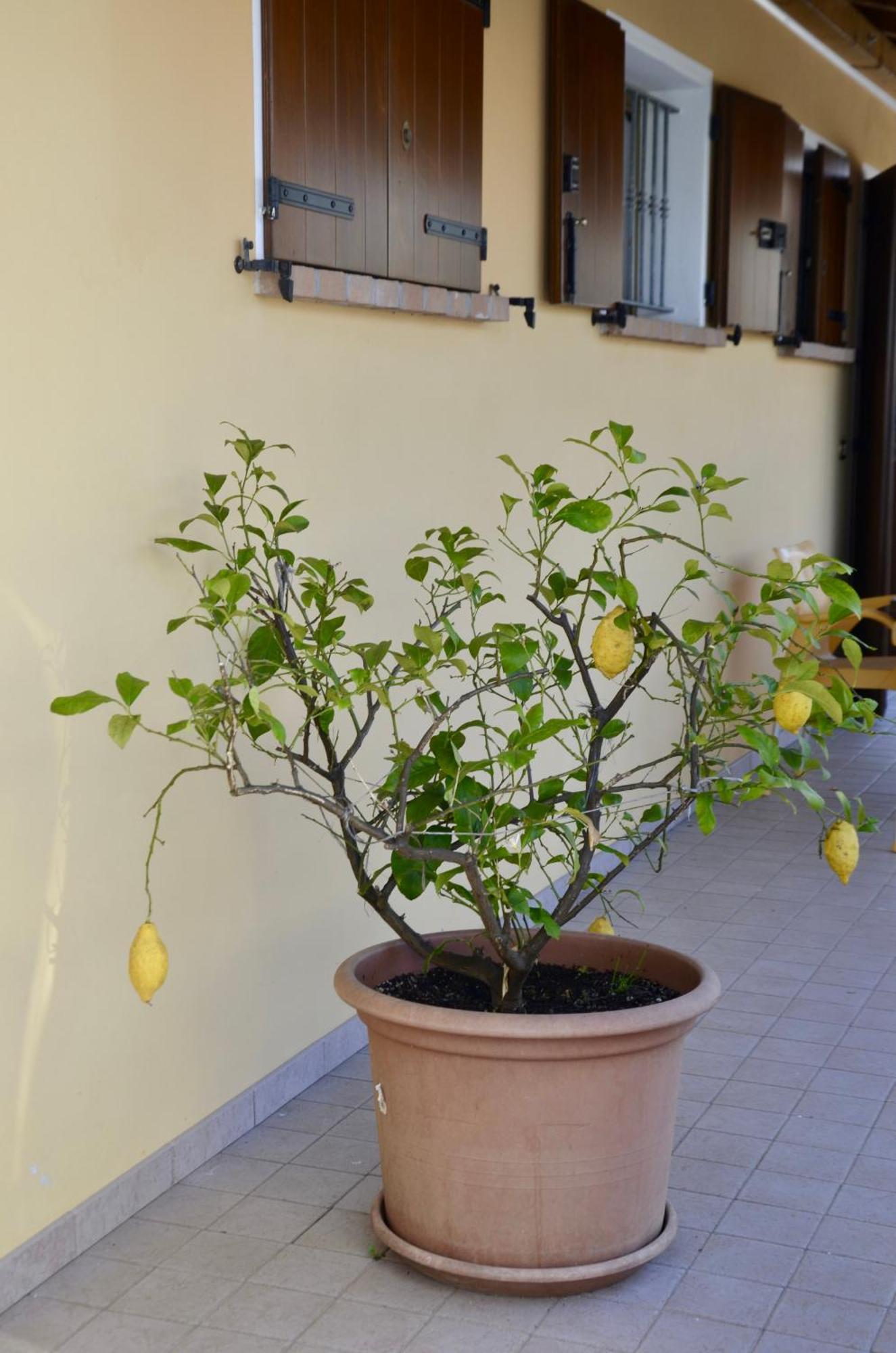 A Casa Di Amici Villa Vidor Dış mekan fotoğraf